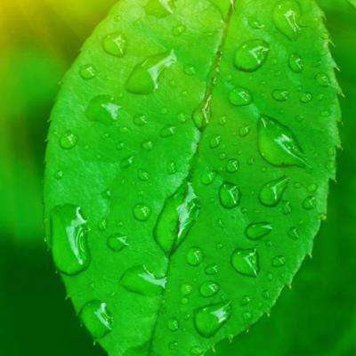 星空体育app下载手机版